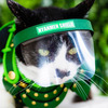 Cat Face Shield