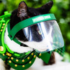 Cat Face Shield