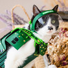 Cat Face Shield