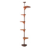 Cat Forest Climbing Tree
