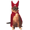 Cat From Hell - Pet Costume