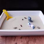 Cat Litter Box Zen Garden