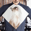 Cat Napkins