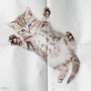 Cat Napkins
