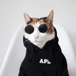 Cat Sunglasses