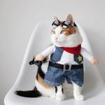 Cat Sunglasses