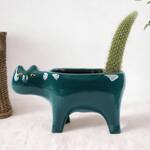 Cat Tail Cactus Planter
