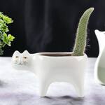Cat Tail Cactus Planter