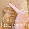 Cat Tongue Grooming Brush