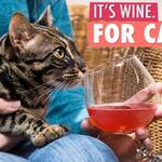Cat Wine Pawty Pack - Liquid Catnip for Cats
