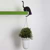 Cat's Paw Balance Hanger