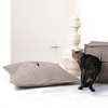 Cats in Style - Designer Cat Products