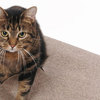 Cats in Style - Designer Cat Products