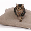 Cats in Style - Designer Cat Products