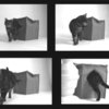 Cats in Style - Designer Cat Products