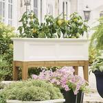 Cedar Wood Raised Garden Planter