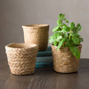 Cement Basket Planters