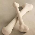 Ceramic Bones for Bonfires, Fire Pits, Campfires, and Fireplaces