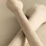 Ceramic Bones for Bonfires, Fire Pits, Campfires, and Fireplaces