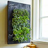 Chalkboard Vertical Wall Planter