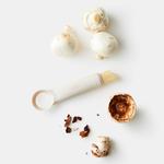 Chef'n ShroomBroom - Mushroom Cleaning Brush and Corer