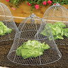 Chicken Wire Plant Cloche