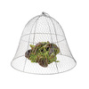 Chicken Wire Plant Cloche