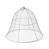 Chicken Wire Plant Cloche
