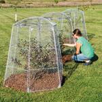 Chicken Wire Super Dome - Extra-Large Plant Protection Cage