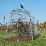 Chicken Wire Super Dome - Extra-Large Plant Protection Cage