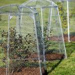 Chicken Wire Super Dome - Extra-Large Plant Protection Cage