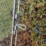 Chicken Wire Super Dome - Extra-Large Plant Protection Cage