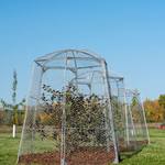 Chicken Wire Super Dome - Extra Large Plant Protection Cage