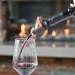 ChirpyTop Wine Pourer - Chirps and Sings Like a Bird While Pouring