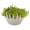Chive Gideon Fuzzy Vase - Ceramic Air Plant and Bud Vase