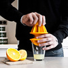 Citrange Citrus Juicer