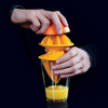 Citrange Citrus Juicer
