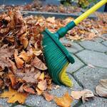 Claw Broom - Curved Bristle Push and Pull Broom / Rake