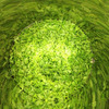 Clear Creek Distillery Douglas Fir Eau De Vie