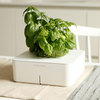 Click & Grow Smartpot