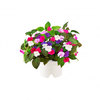 Click & Grow Smartpot