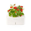 Click & Grow Smartpot