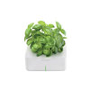 Click & Grow Smartpot