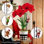 Climbing Holiday Character Amaryllis Support Stake Ladders