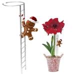 Climbing Holiday Character Amaryllis Support Stake Ladders