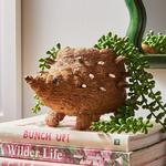 Coco Coir Hedgehog Planter