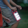 Coleman Quad Lantern