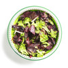 Collapsible Salad Spinner