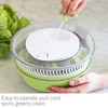 Collapsible Salad Spinner
