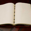 Col. Littleton No. 9 Leather Journal